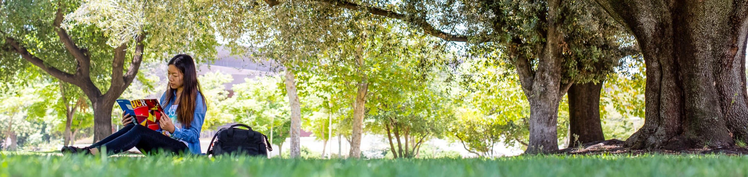 A young woman studies in the shade of a tree on the UCR campus